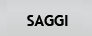 SAGGI